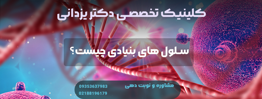 سلول های بنیادی چیست؟